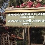 Sakkarbaug Zoological Park