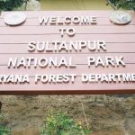 Sultanpur National Park