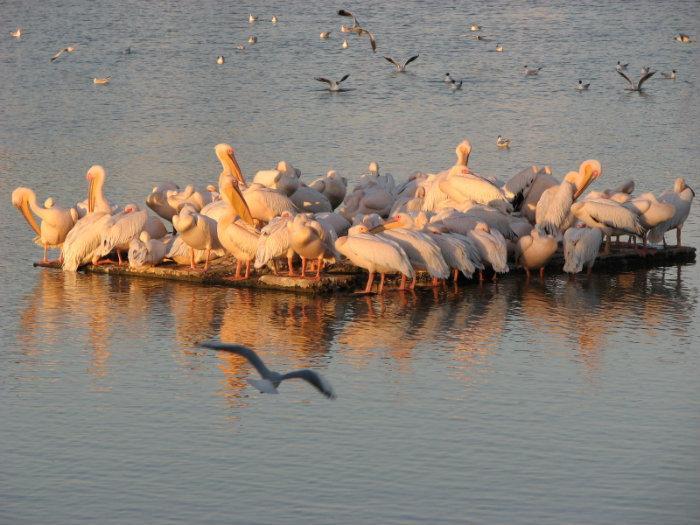 Topansar Lake