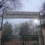 Aravalli Bio Diversity Park