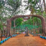 Divyaramam Park