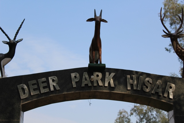 Deer Park Jangu Nivas