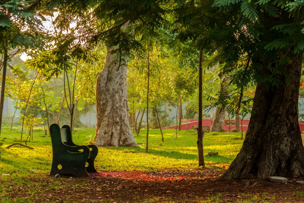 Botanical Garden