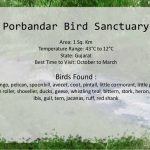 Porbandar Bird Sanctuary
