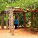 Auroville Botanical Gardens