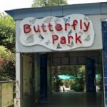 Butterfly Park