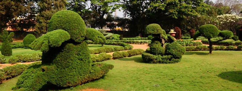 Shri Kotla Vijayabhaskara Reddy Botanical Garden