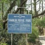 Saketi Fossil Park