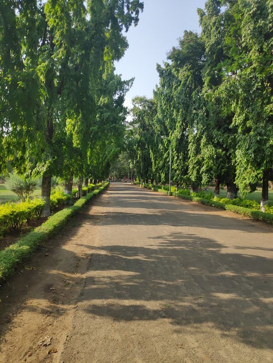 TNAU Botanical Garden