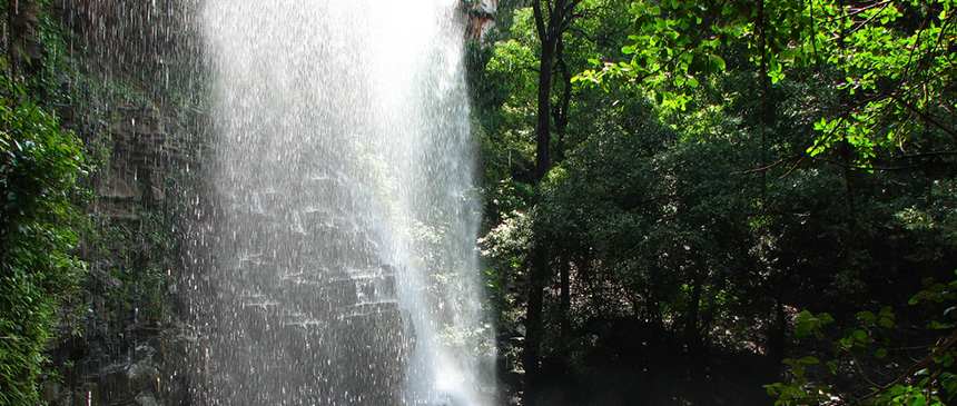 Mallela Thirtham Waterfall