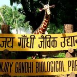 Sanjay Gandhi Biological Park