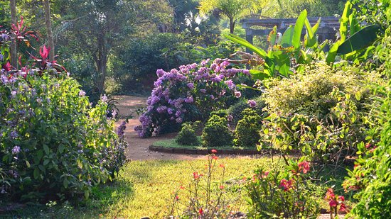 Auroville Botanical Gardens