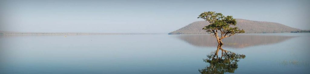 Pakhal Lake