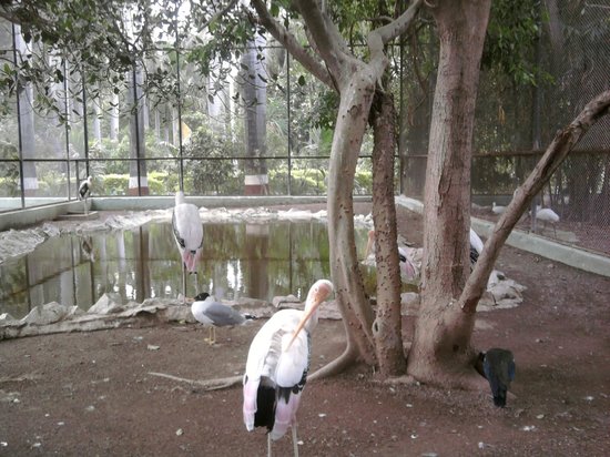 Sakkarbaug Zoological Park