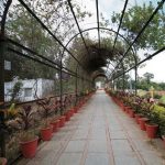 Sneh Rashmi Botanical Garden