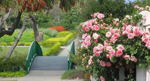 Zakir Rose Garden