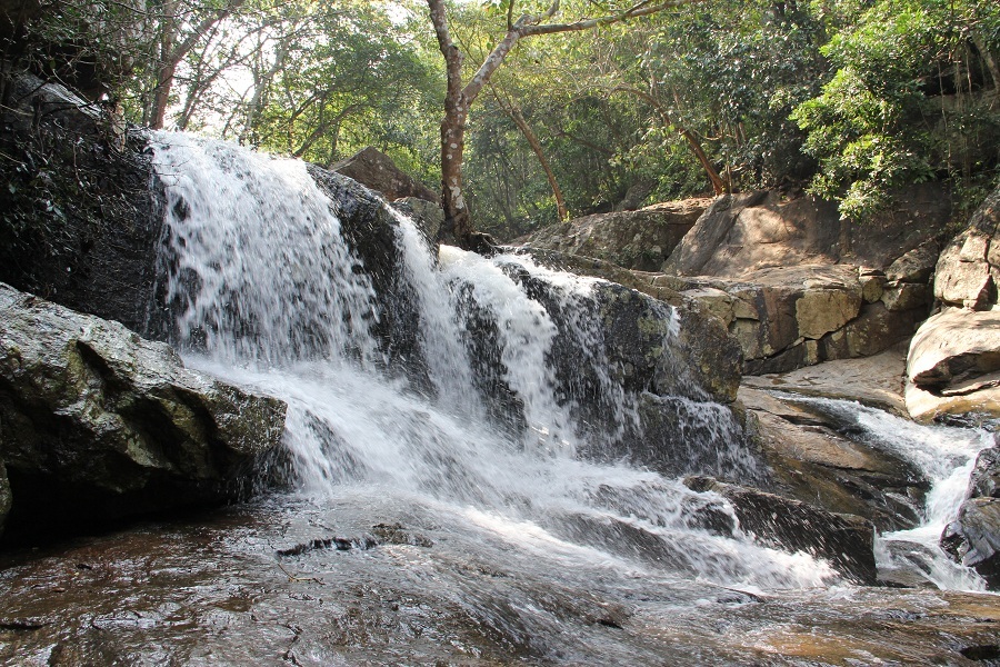 Maredumilli Water Falls