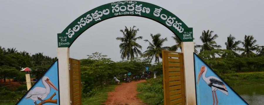 Kolleru Bird Sanctuary - Temples Vibhaga