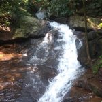 Maredumilli Water Falls